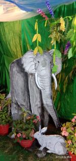 ANIMALS KINGDOM ACTIVITY 06-04-2019 04.jpg